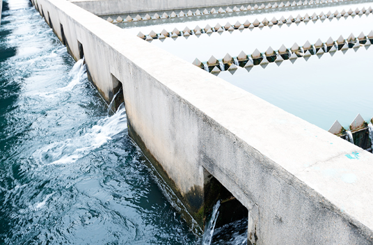 696512a3-1c22-4d37-93c6-3385f551be66.png 696512a3-1c22-4d37-93c6-3385f551be66.png